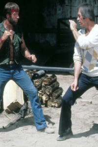 Lone Wolf McQuade